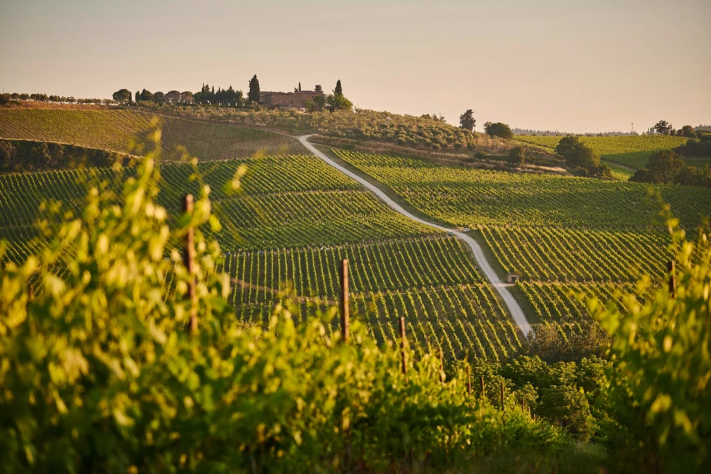 Toscane